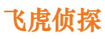 奉节外遇出轨调查取证